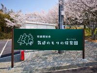 気延のもりの保育園